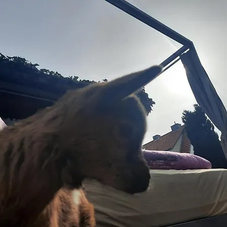 Home&classic - Alte Werkstatt