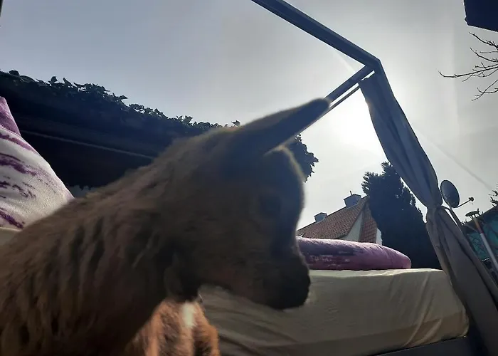 Home&classic - Alte Werkstatt